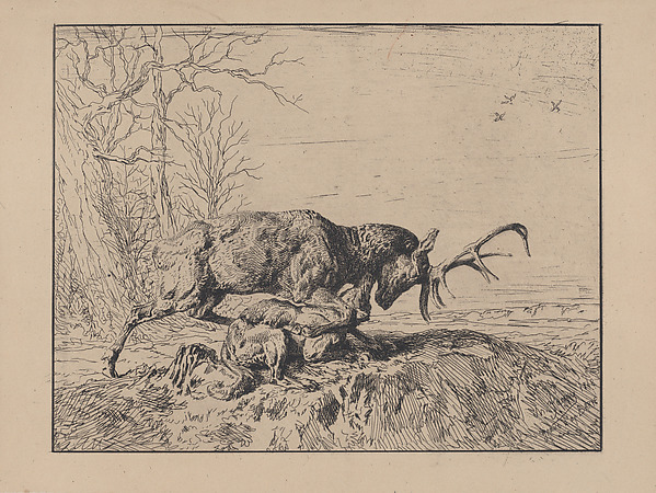 Charles Jacque, Stag Fighting a Wolf, after Antoine Louis Barye