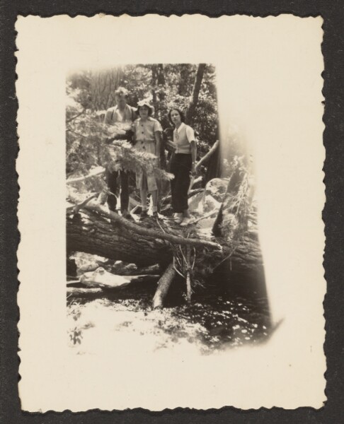 Louis Fleckenstein, [Figures in Woods]