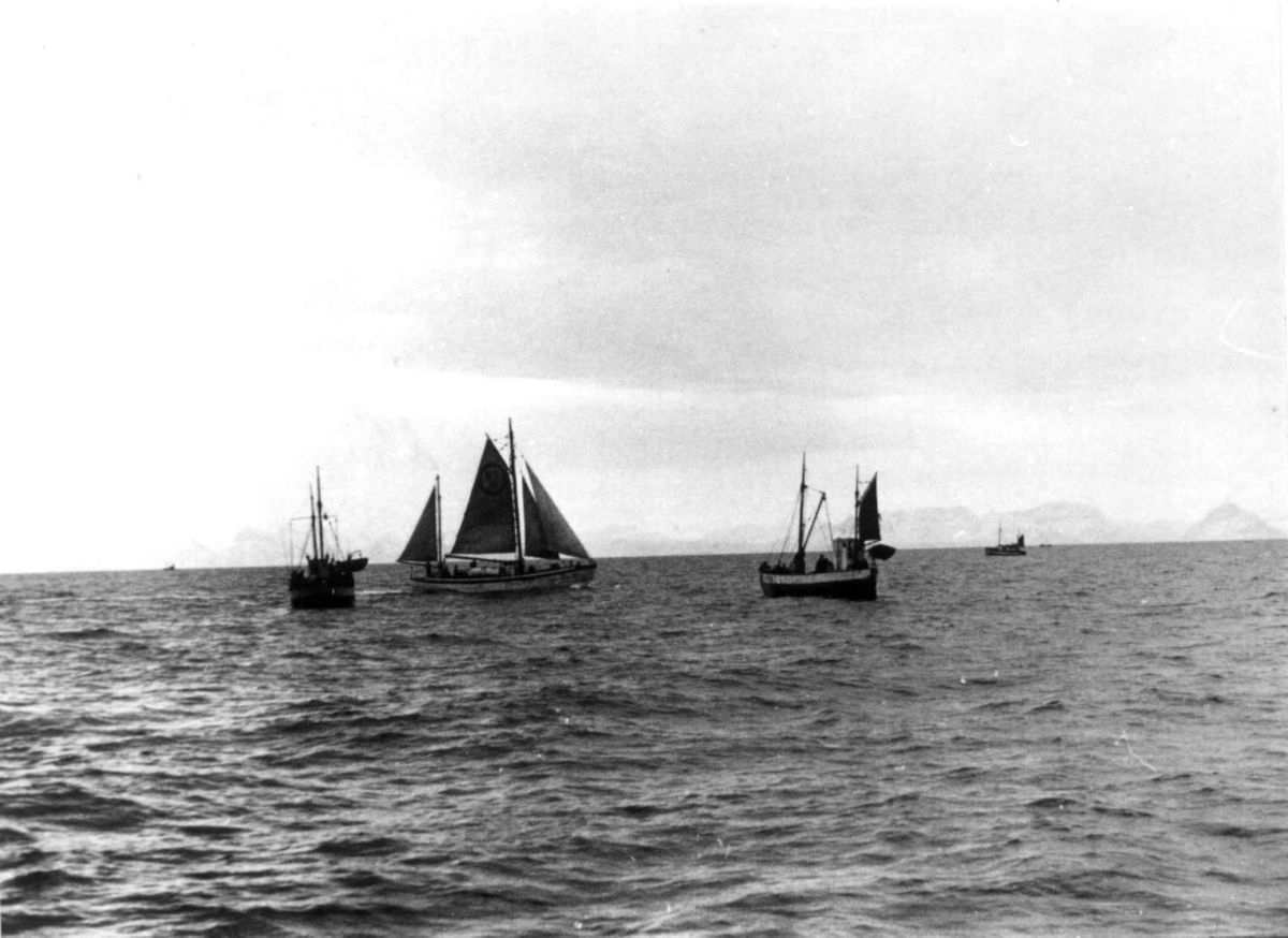 Anders Beer Wilse, Lofotfiske