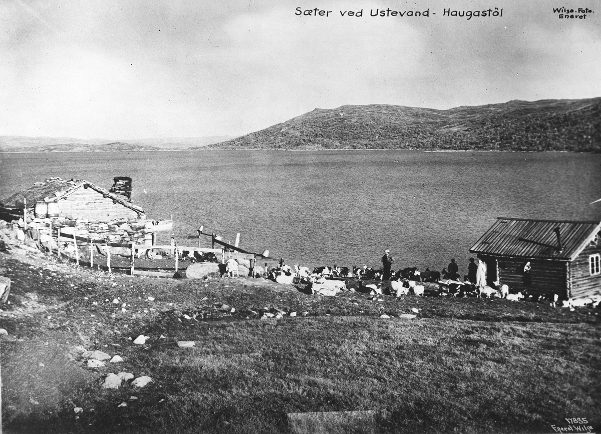 Anders Beer Wilse, Prot: Ustevand Sæter Neg: Sæter ved Ustevand Haugastøl