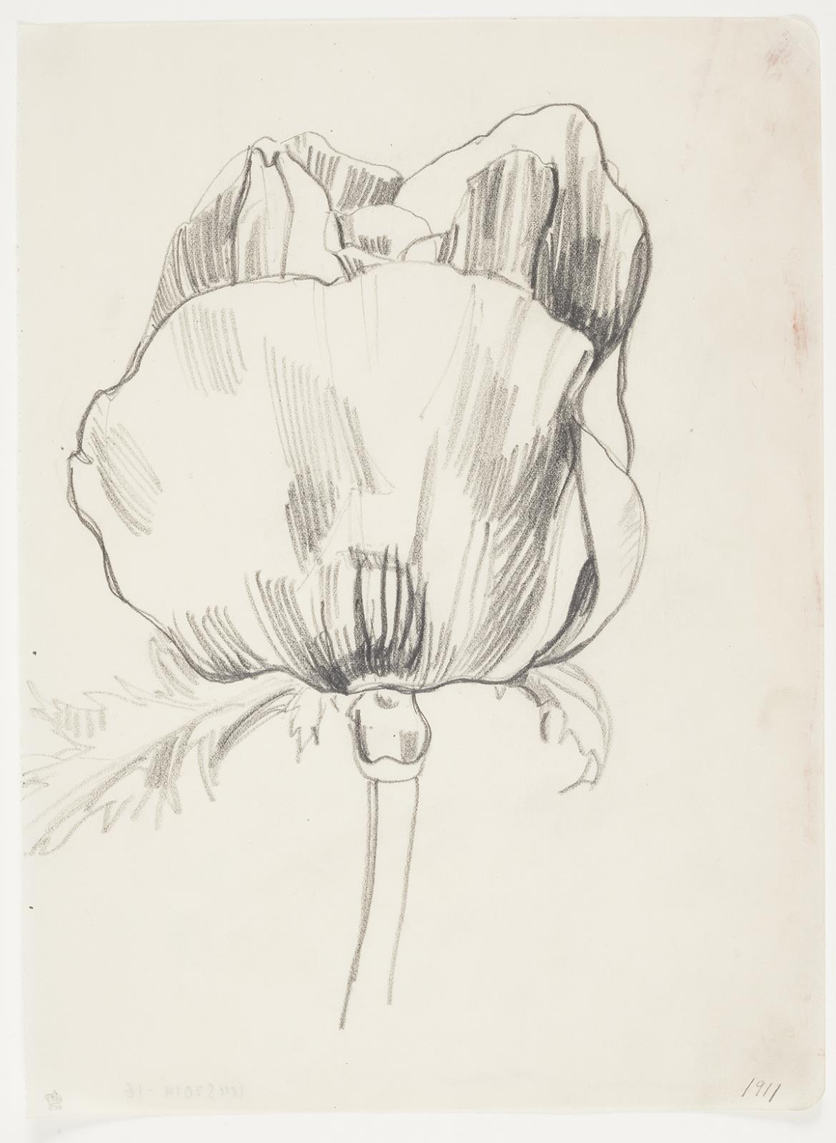 J.A. Jerichau (II), Valmue