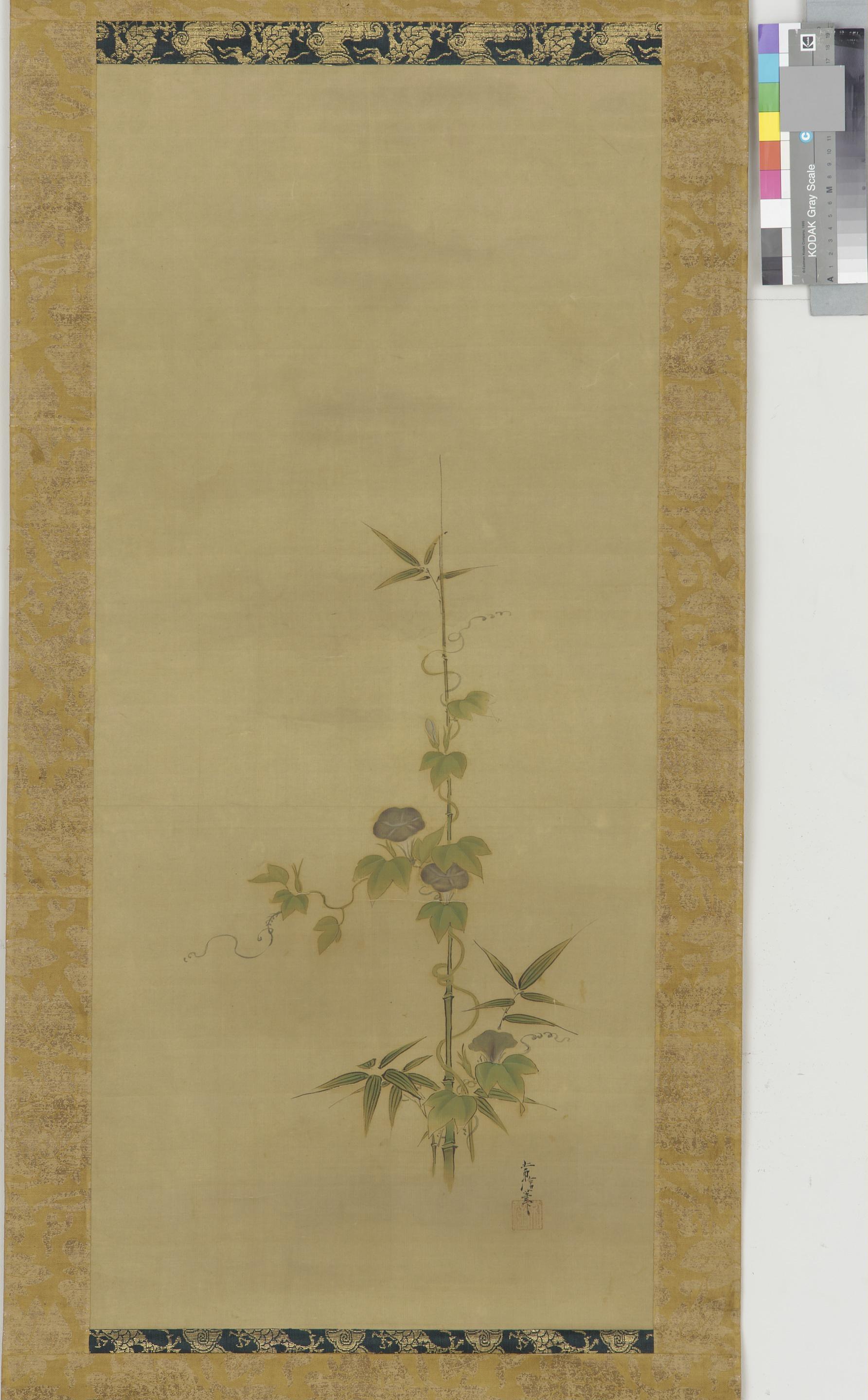 Kano Tsunenobu, Morning glory and bamboo (part of a set, F1904.379-381)