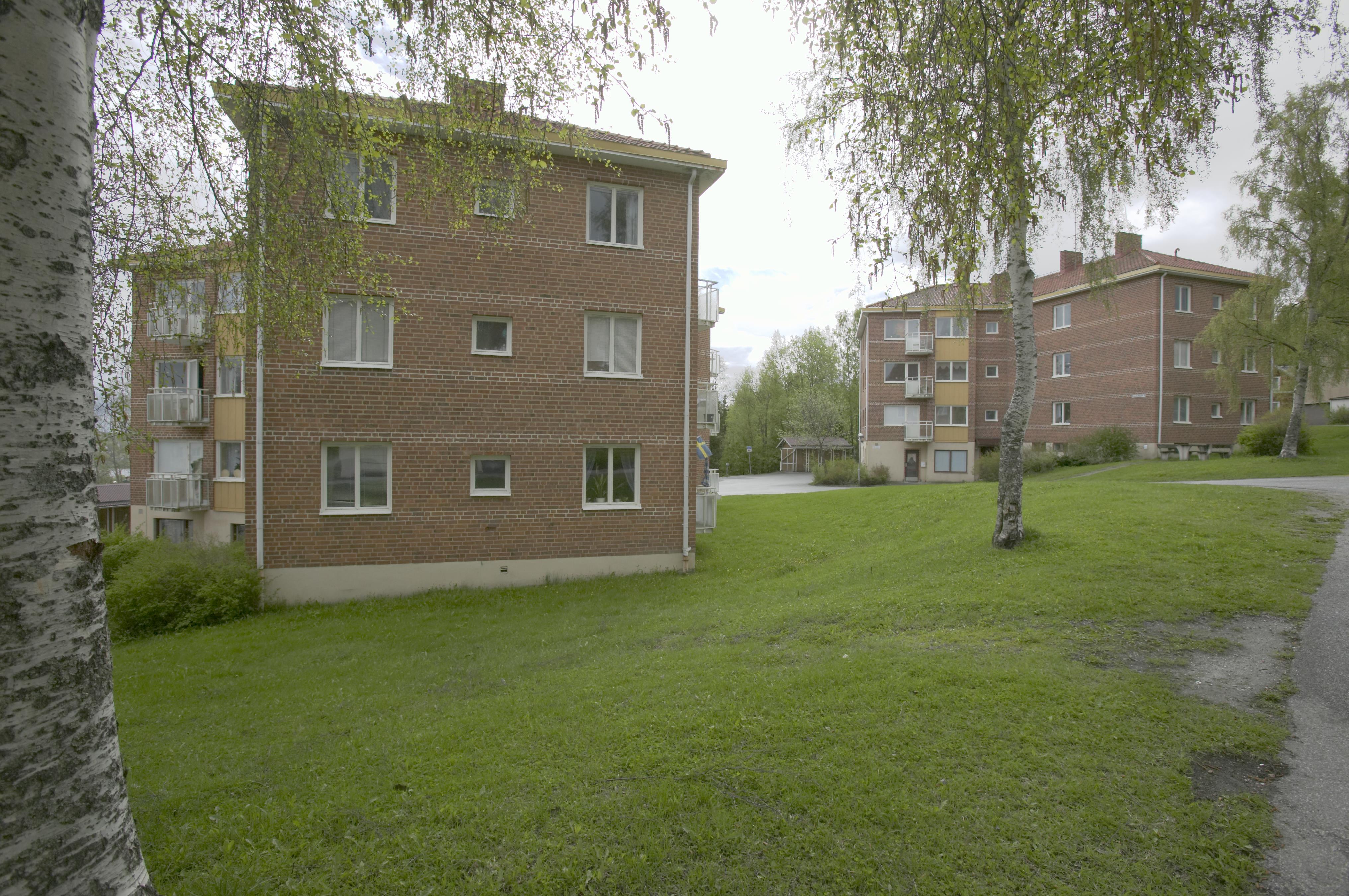 Bengt A Lundberg, Gullänget