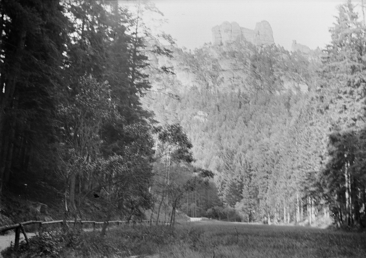 Okänd,, View of footpath through forest and mountains, probably in Norway