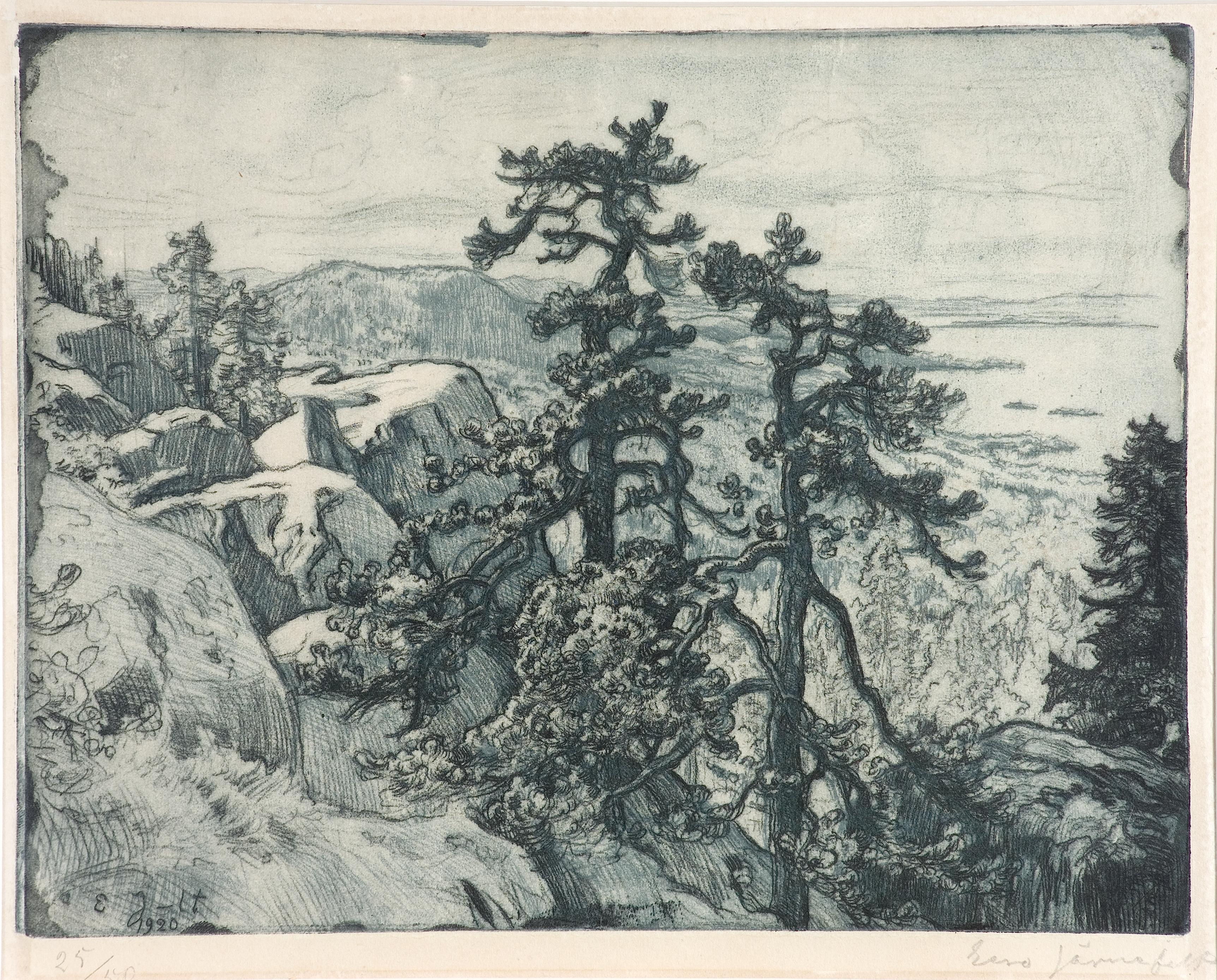 Eero Järnefelt, Näköala Kolilta