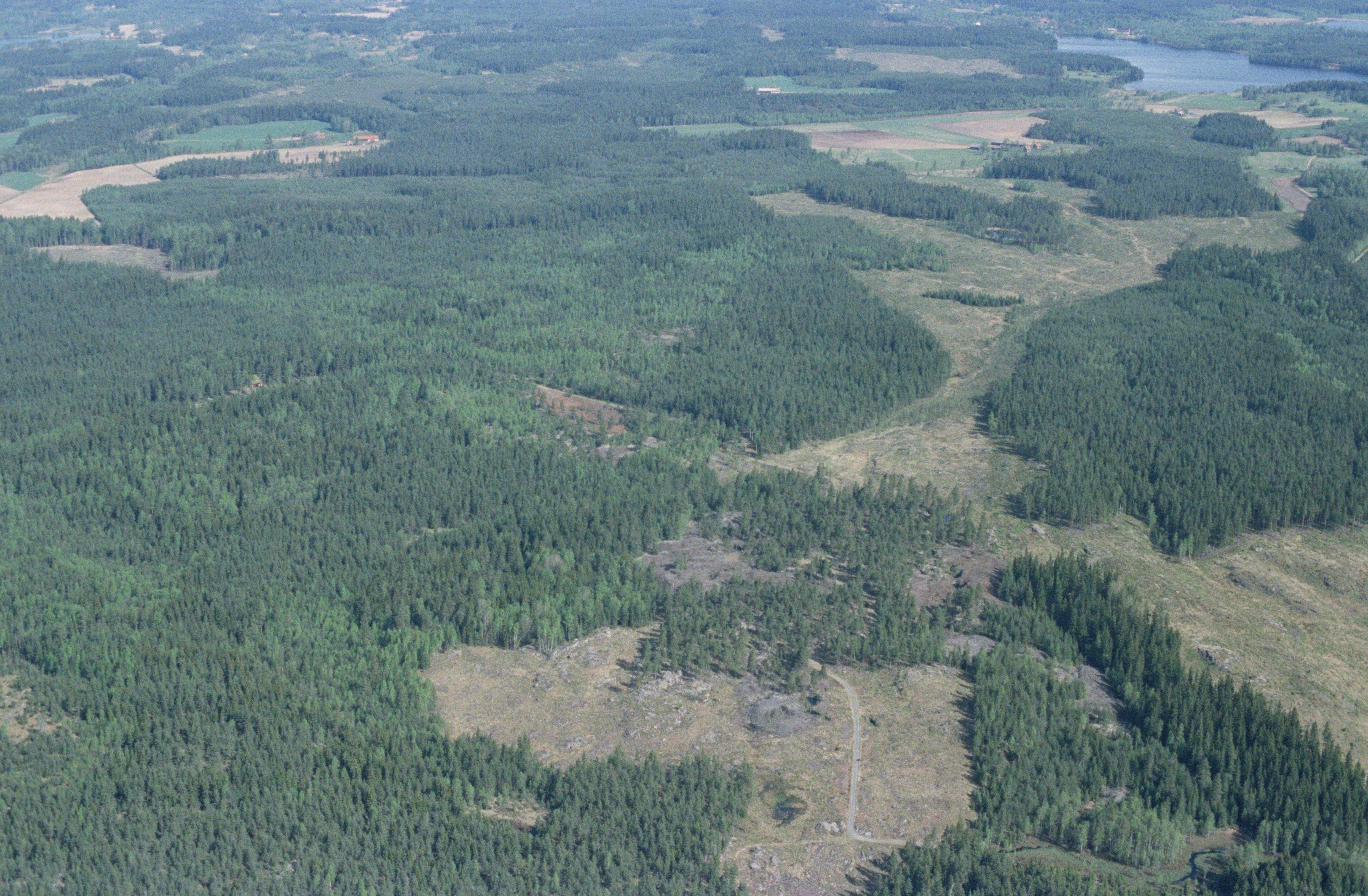 Jan Norrman, Hammar 36:1