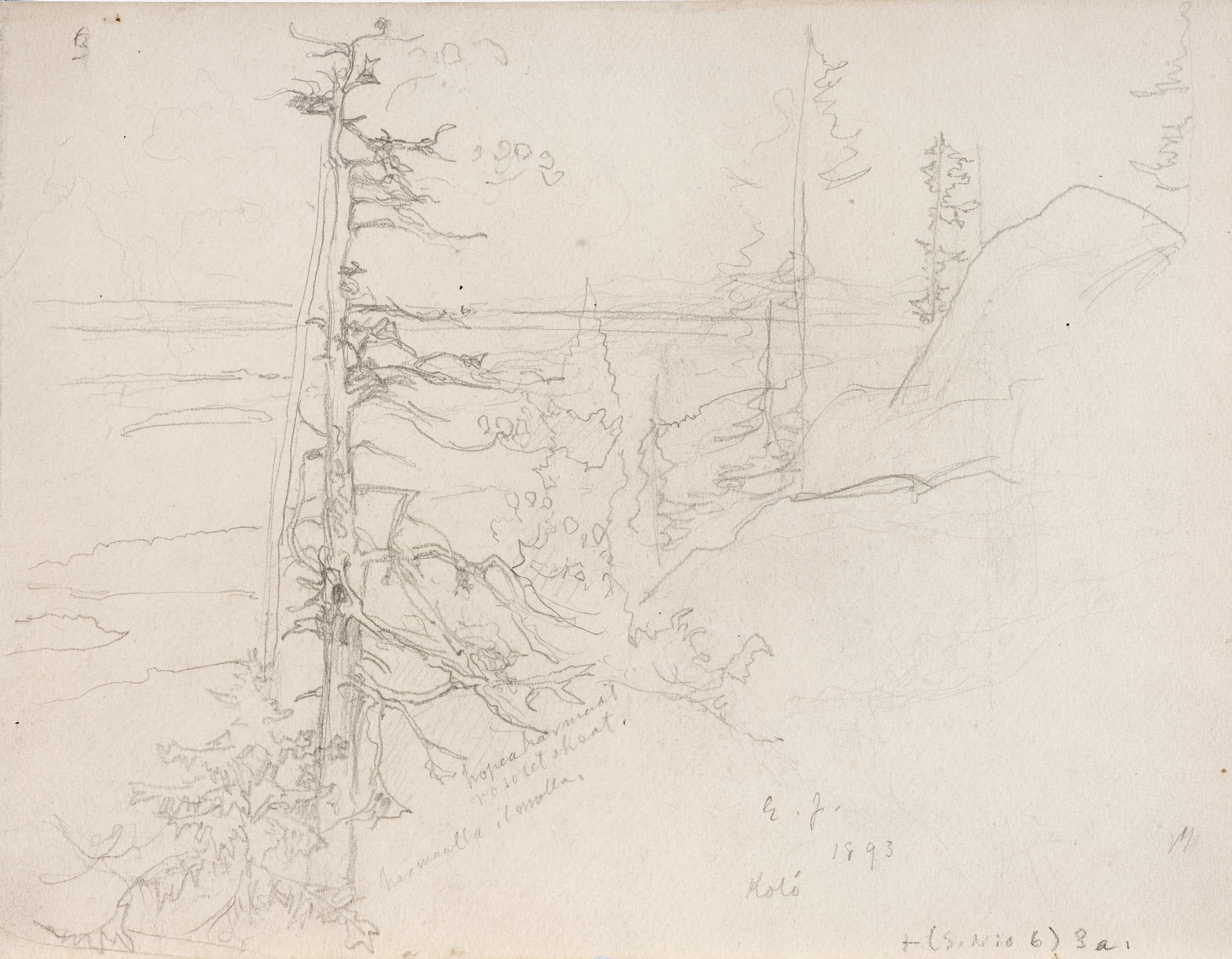 Eero Järnefelt, Koli