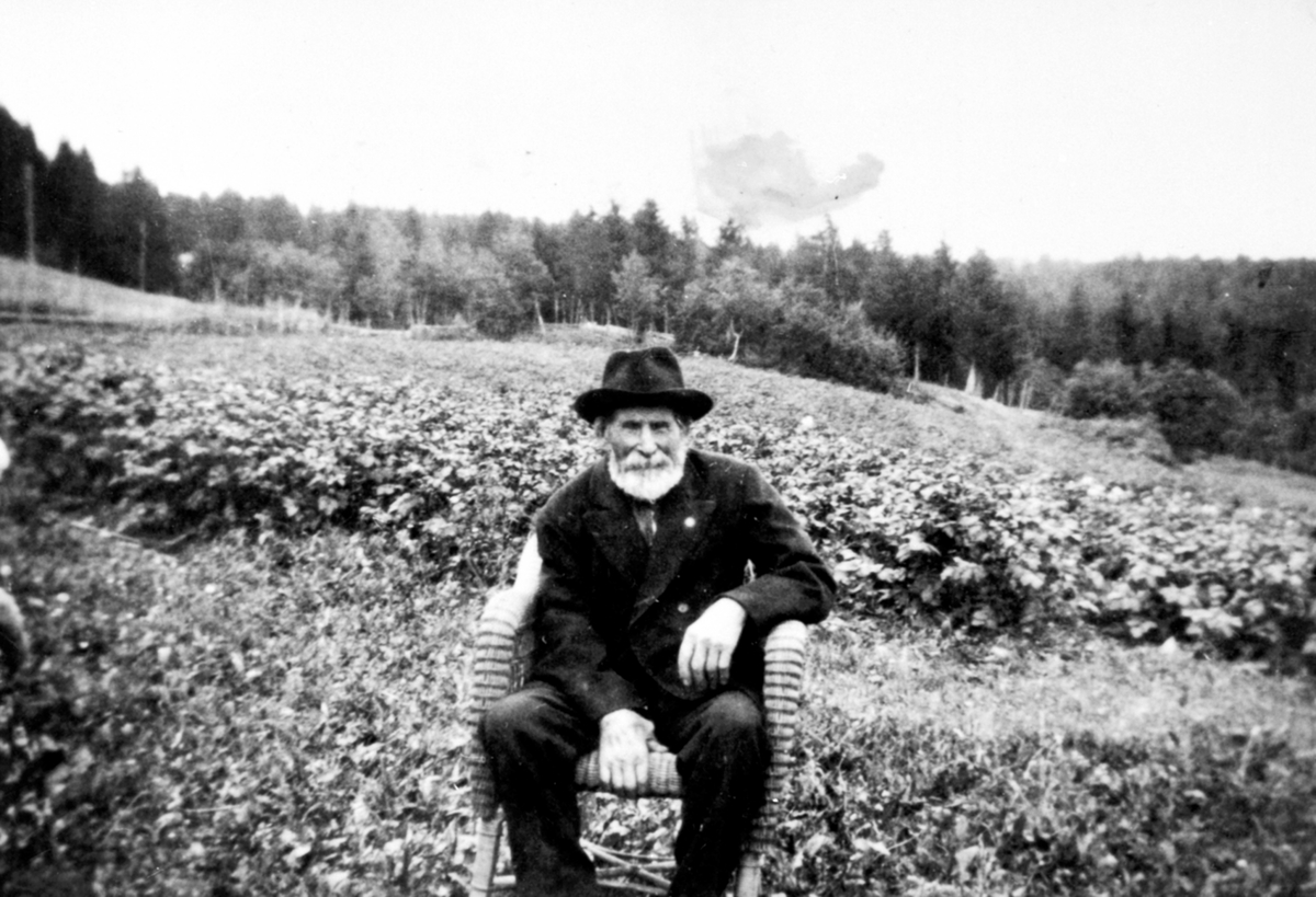 Anno Domkirkeodden, Husmann Peder Johan Johanson (Rosenlund) født i Borås i Sverige 1854. Kom til bygda i forbindelse med nydyrkingsarbeidet som foregikk her. Kom til Mellom-Kise, Nes, Hedmark som husmann i 1880-åra og ble her til sin død i 1942.