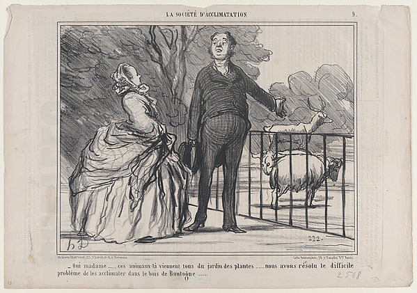 Honoré Daumier, Oui madame..., ces animaux-là viennent tous du jardin des plantes..., from La Société d'Acclimatation, published in "Le Charivari"