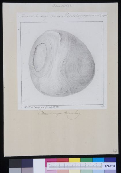 M Houtman, Stone from a horse's stomach