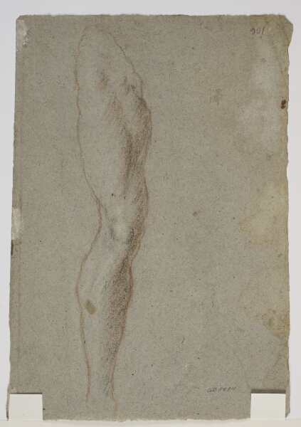 Jacopo Bassano, Studie til et højre ben