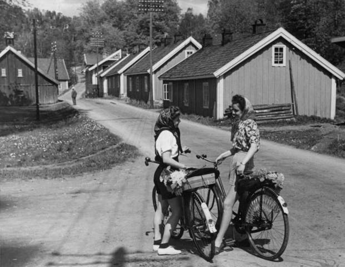 Anders Beer Wilse, -6234