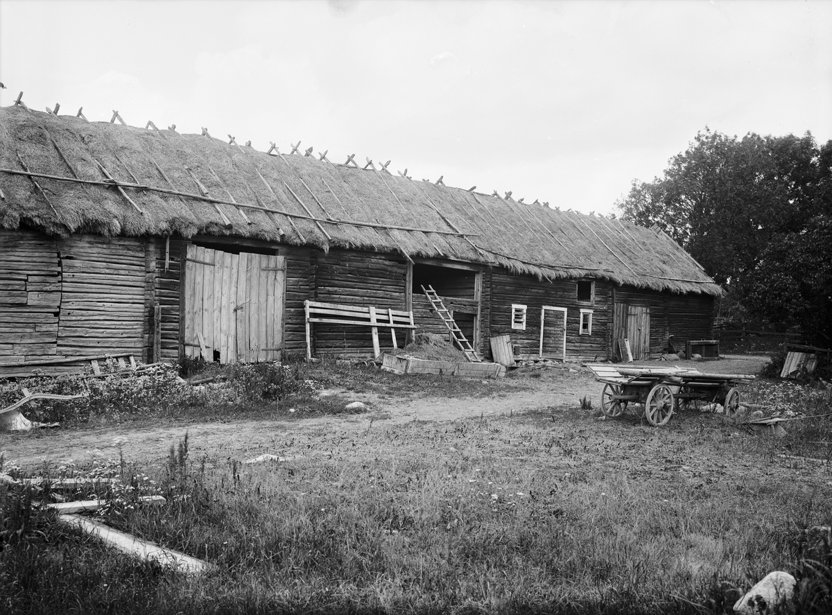 Paul Sandberg, Uthuslänga, Jansson - Högby, Lagga socken, Uppland sannolikt 1920-tal