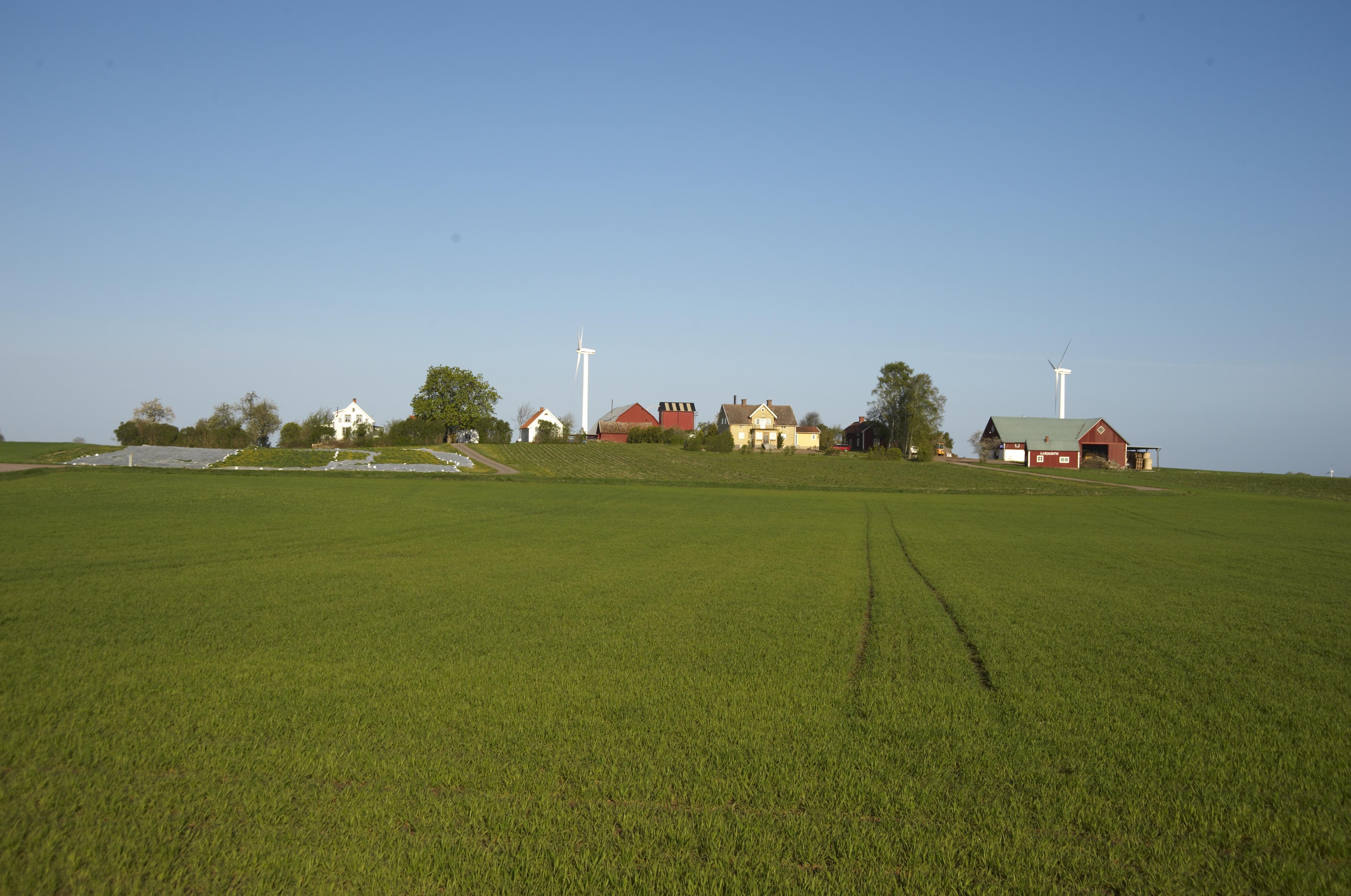 Bengt A Lundberg, Råby