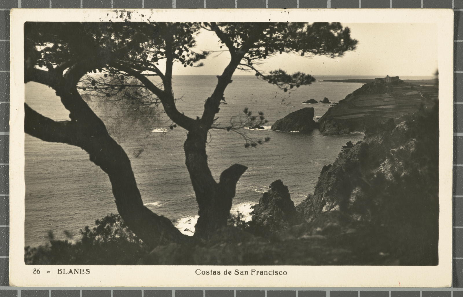 Desconegut, 36 - Blanes. San Francisco Coasts