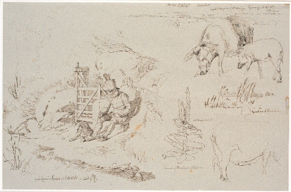 Johan Thomas Lundbye, Studieblad fra Vognserup. T. v. en røgter (gamle Rasmus Larsen) siddende med en hund ved et led. F.o.t.h. et landskabsstudie med stedbetegnelser. Herunder to grise. T.h.m.f. studie af siv i en sø. Herunder en kongelysplante og studie af en so