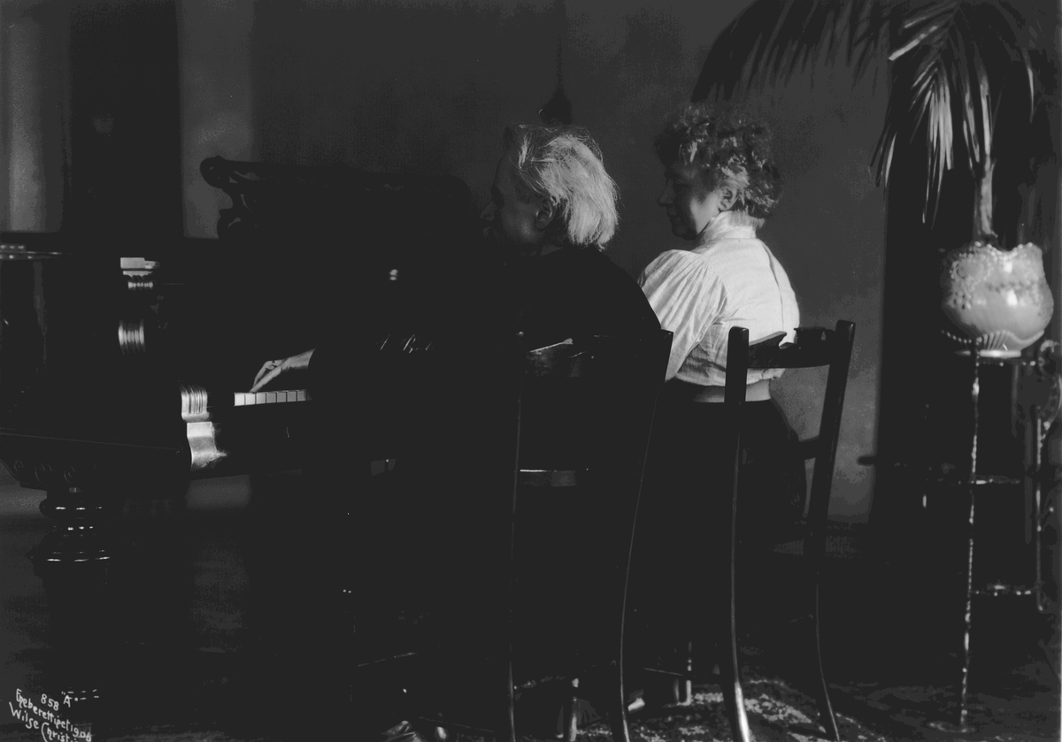 Anders Beer Wilse, Prot: Edvard Grieg og Frue 11/12