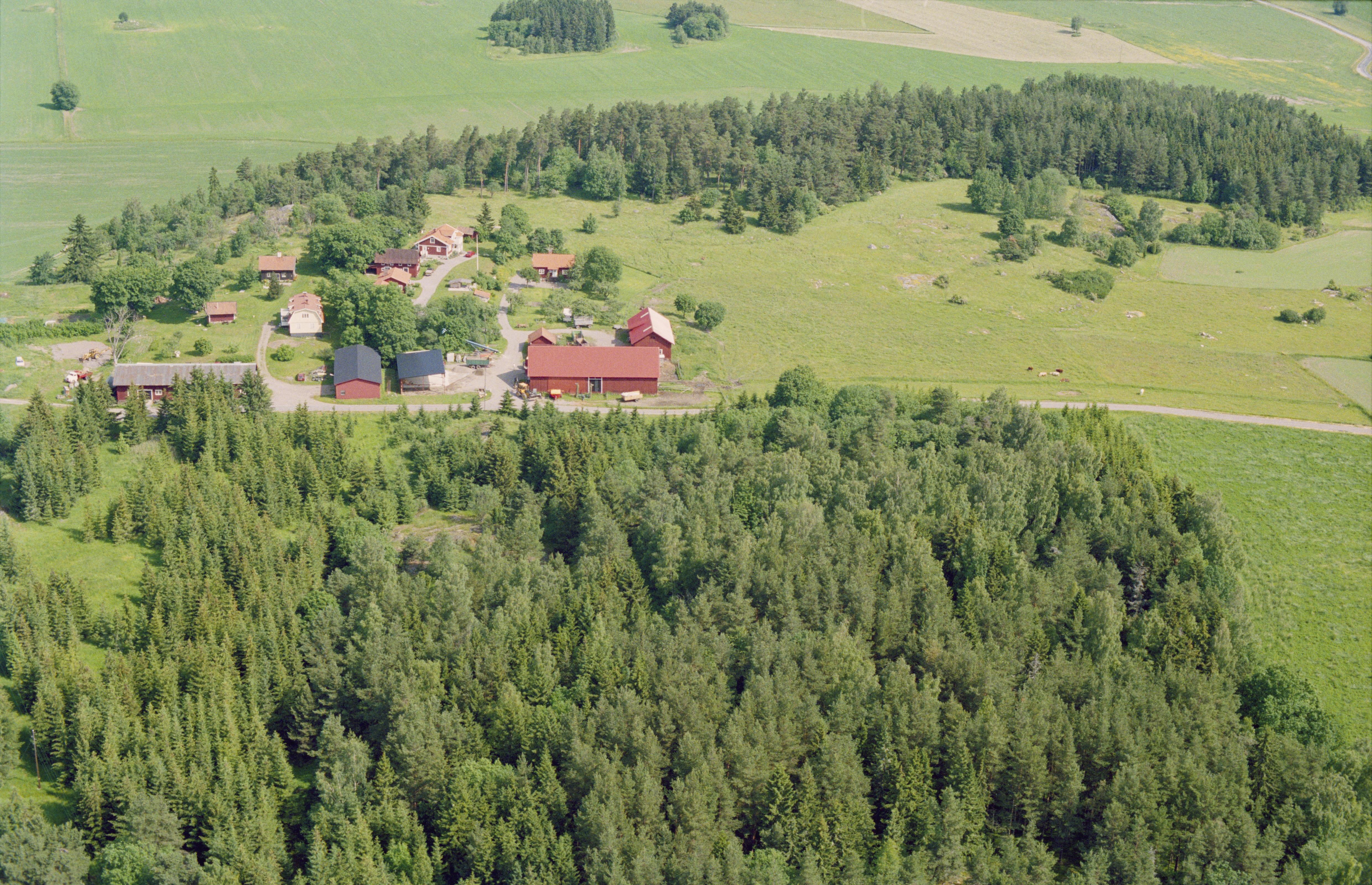 Jan Norrman, Kungsängen 36:1