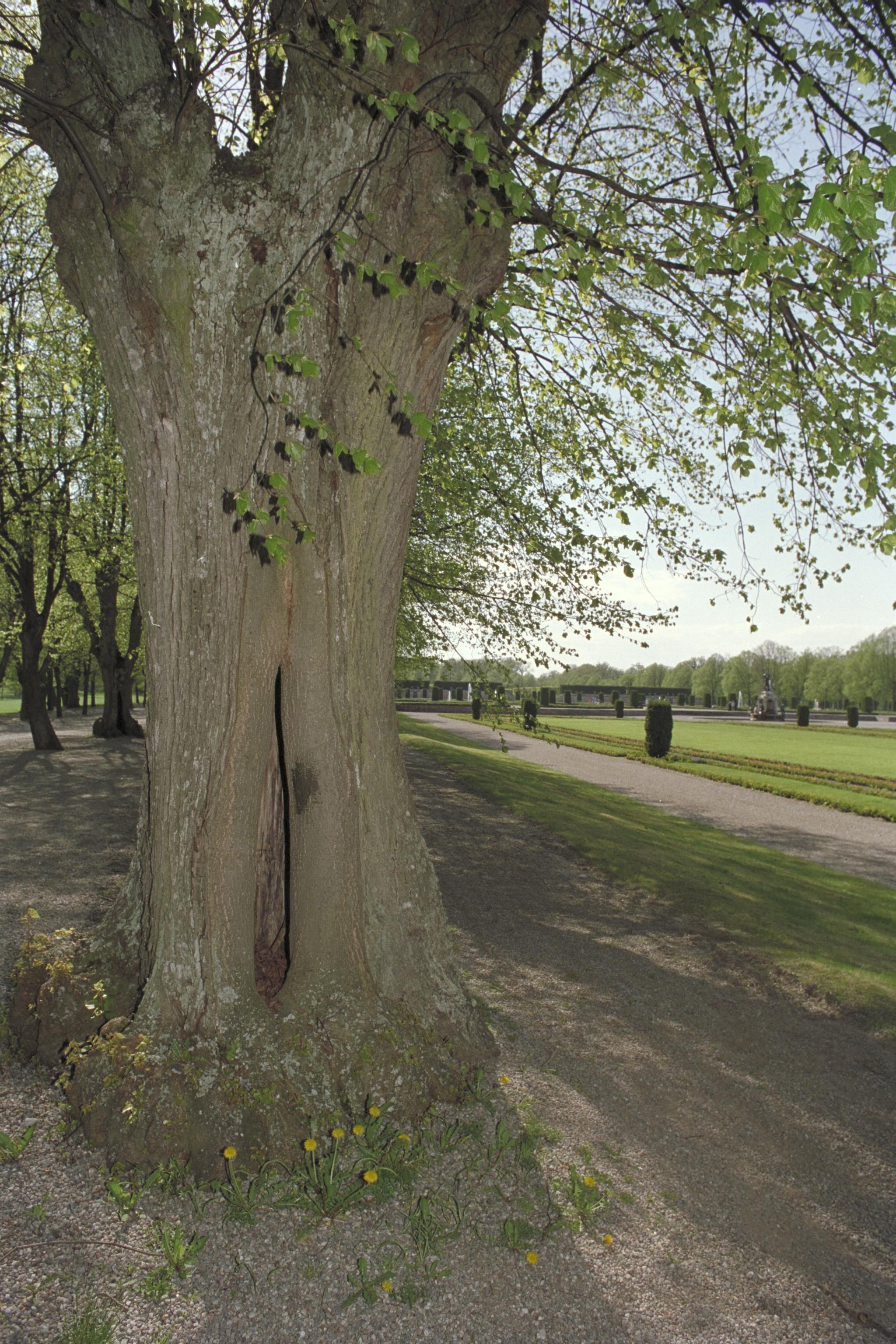 Bengt A Lundberg, Drottningholm