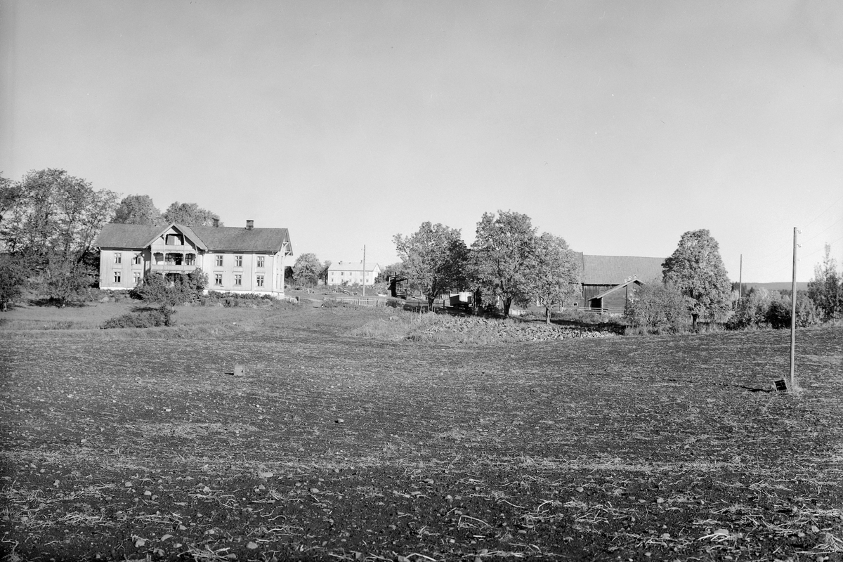 Anno Domkirkeodden, EKSTR: GARDSTUN, GJÆRLU, LØTEN. Se Løtenboka, bind 1. Bygdeboka fra 1949, side 431