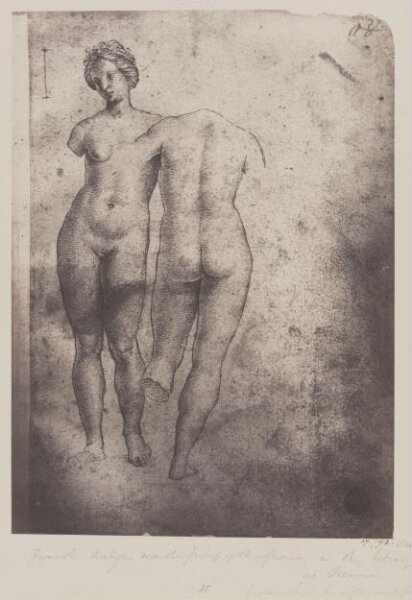Fratelli Alinari, Photograph