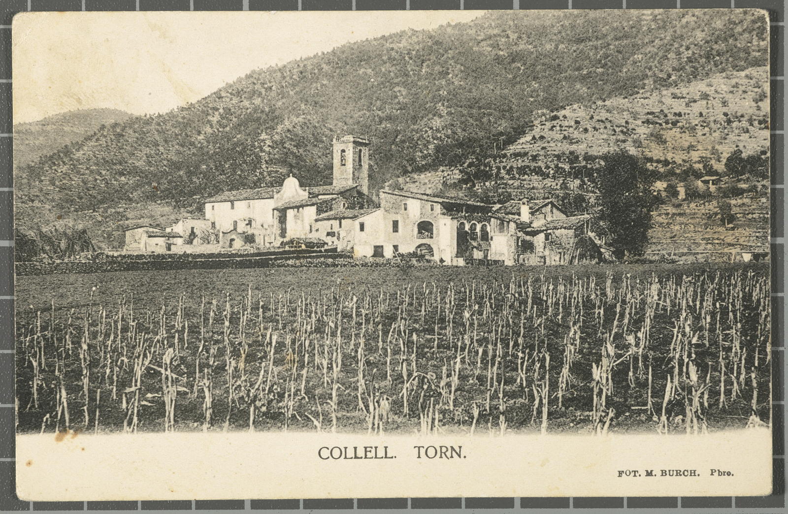 Desconegut, Collell. Torn.