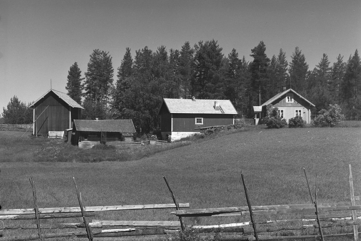Anno Domkirkeodden, Evenstad gård, Løten. Gnr. 174, b.nr. 2 og 4.
