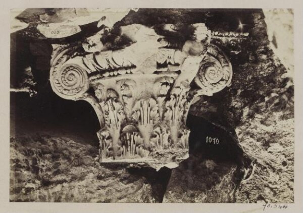 Parker, John Henry, Excavations, 1868 - Thermae of Caracalla. Corinthian Capital.
