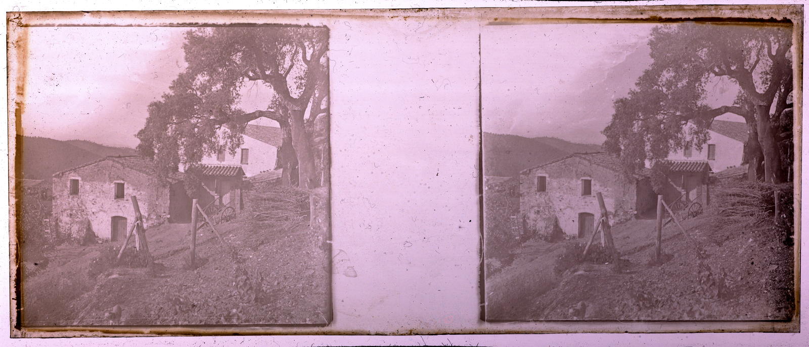 Desconegut, [House of Labrador]