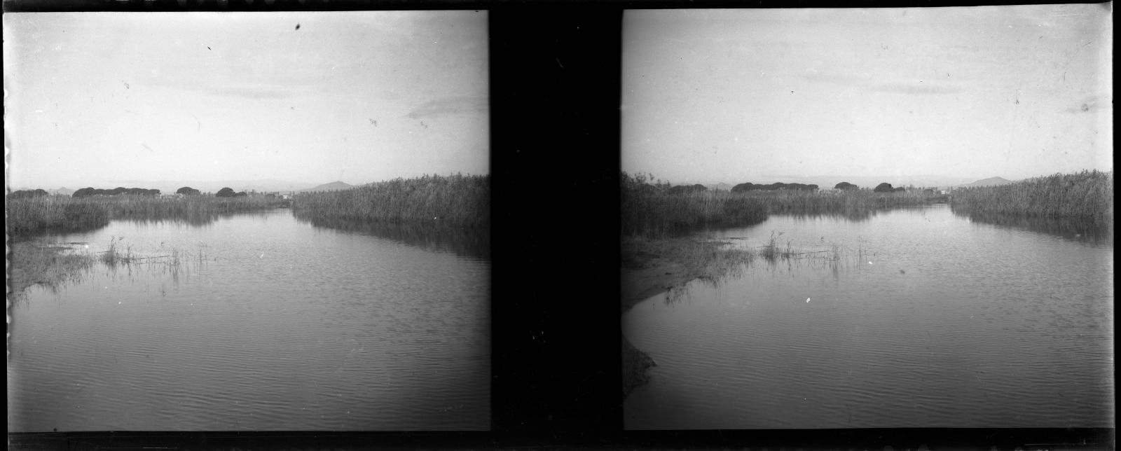Desconegut, [Wetlands]