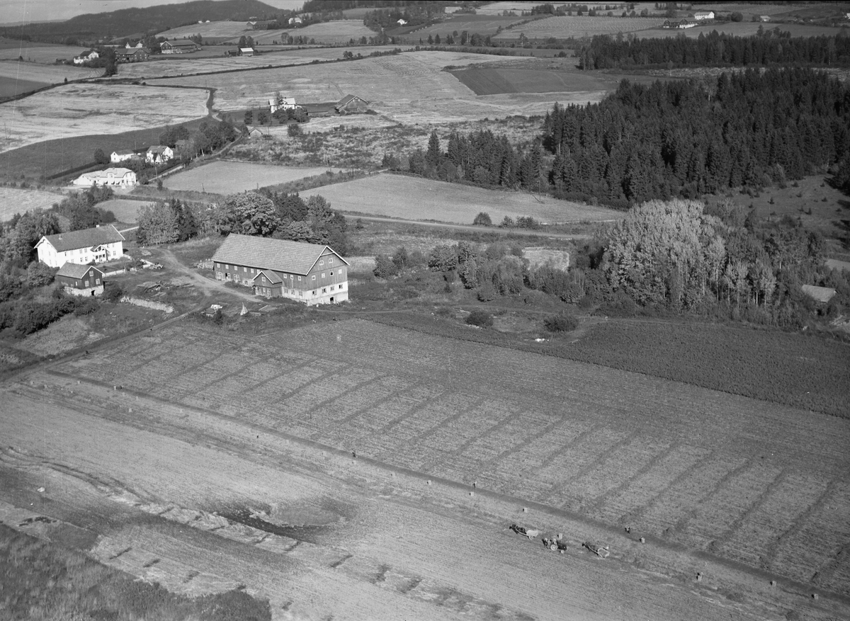 Widerøes Flyveselskap A/S, Flyfoto, gardsbruk, Hulleberg nedre, Nes, Hedmark. Potetplukking, hester og folk.