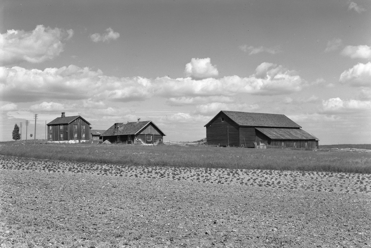 Anno Domkirkeodden, EKSTR: GARDSTUN, DALEN, LØTEN. Se Løtenboka, bind 3. Bygdeboka fra 1955, side 688