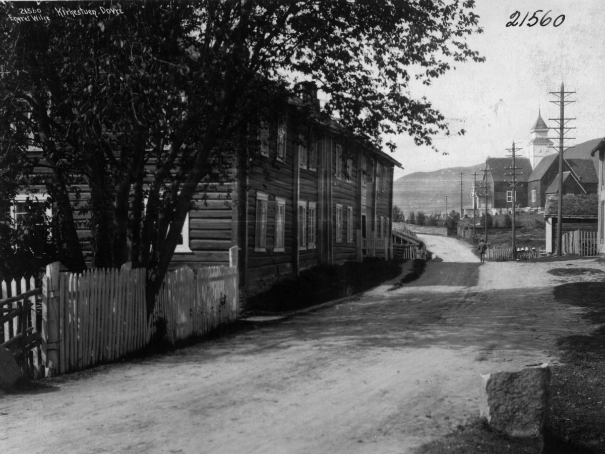 Anders Beer Wilse, -1915