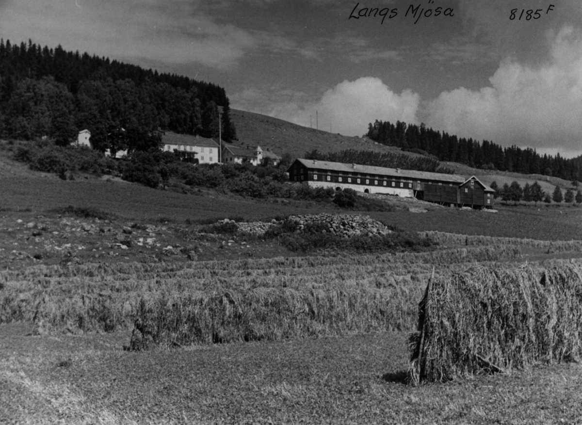 Anders Beer Wilse, Berg gård