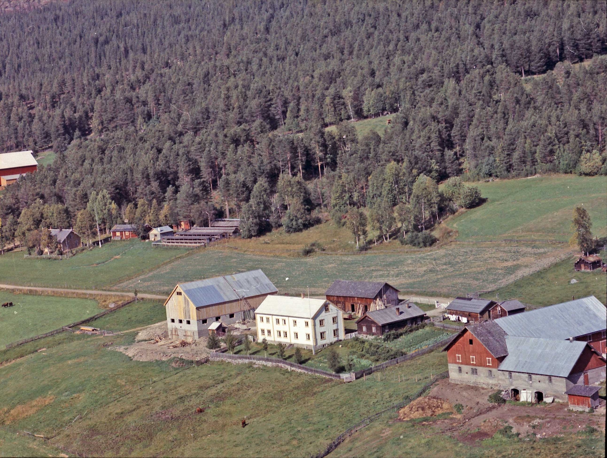 Widerøes Flyveselskap A/S, Gårdsbruk.
