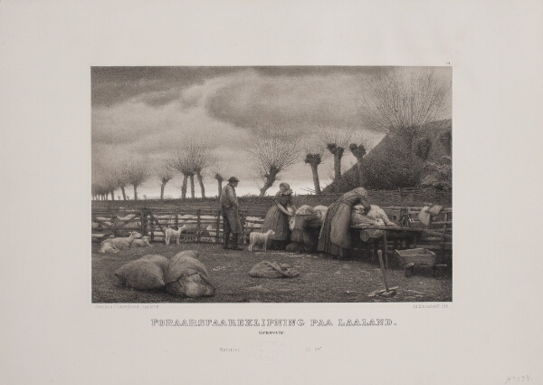 Adolph Kittendorff, Forårsfåreklipning på Låland