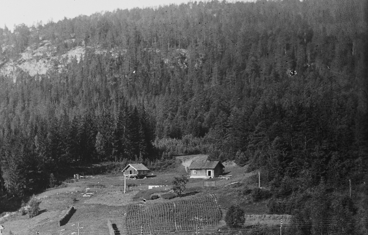 Anders Beer Wilse, Prot: Svelgfos Kraftstation Juli