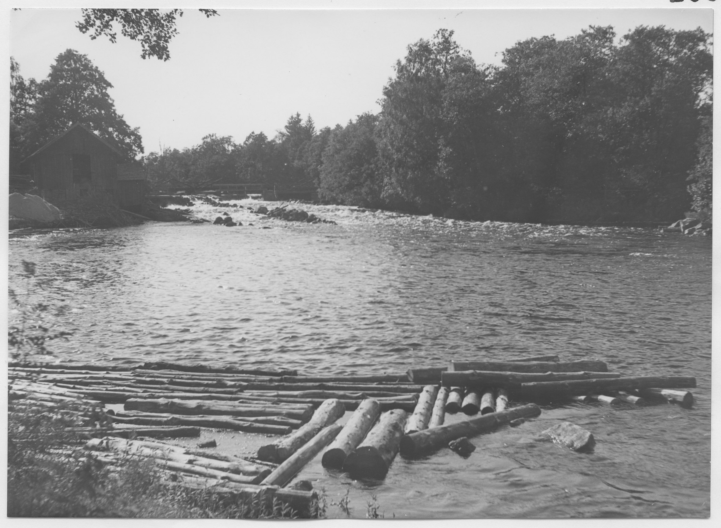 Mårten Sjöbeck, Bolmsån Timmerflottning