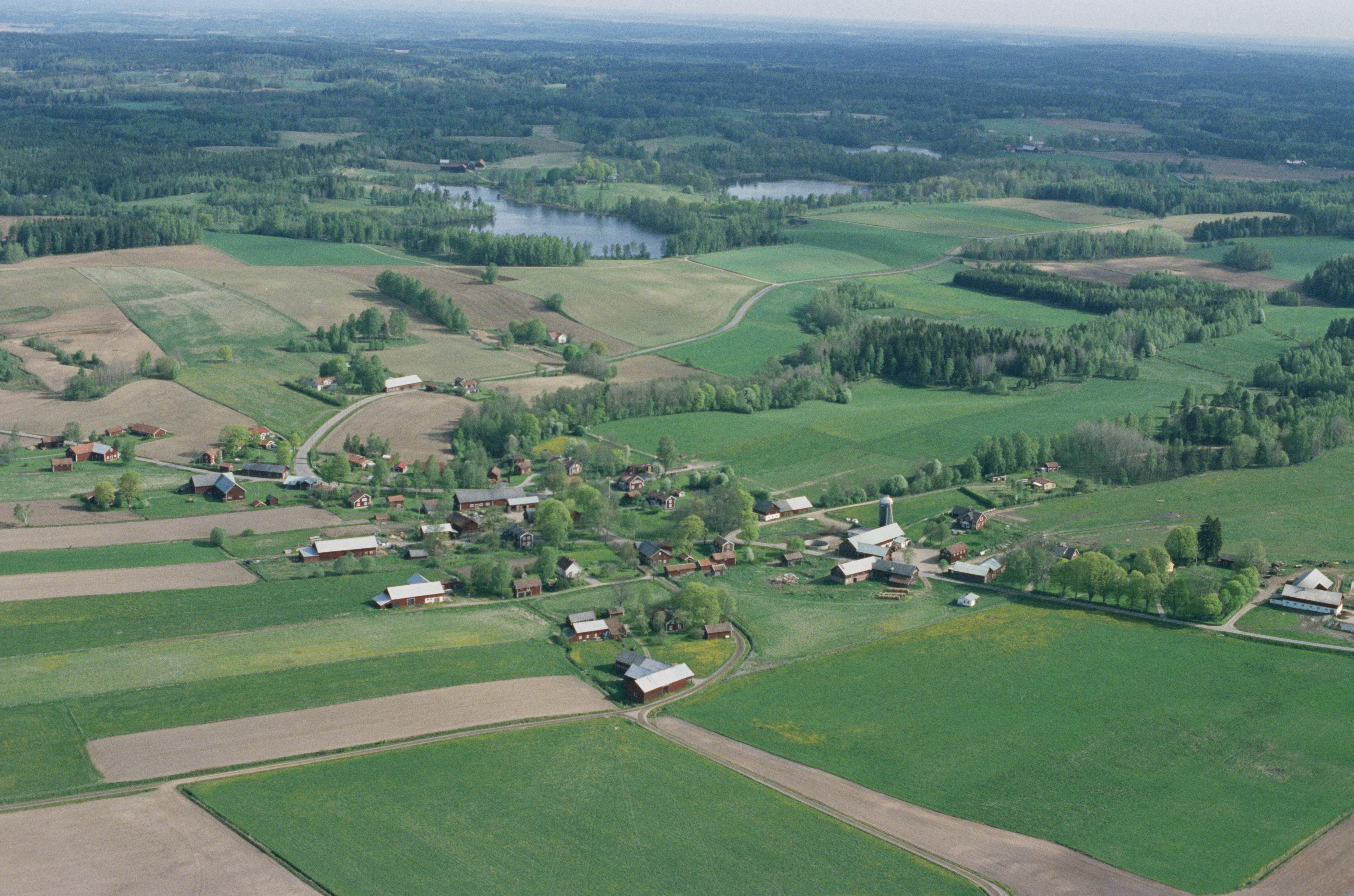 Jan Norrman, Snavlunda 262