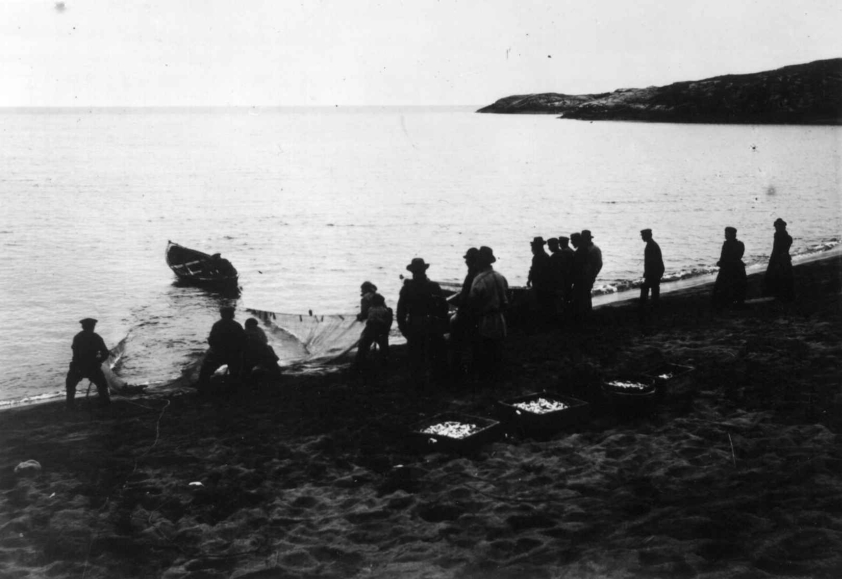 Ellisif Rannveig Wessel, Sildefiske, ved Grense Jakobselv, Sør-Varanger, Finnmark, antatt 1900-10. Noten trekkes av russere og nordmenn.