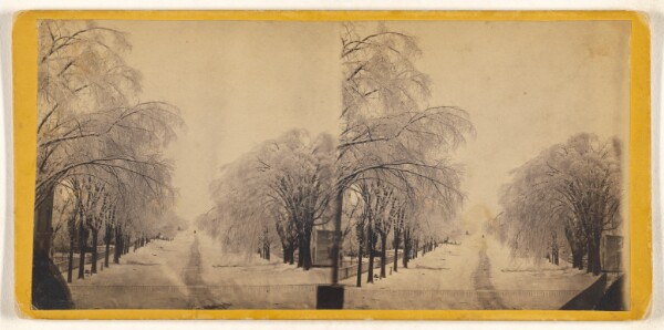 Unknown, [Elm Street, Winter, Potsdam, N.Y.]