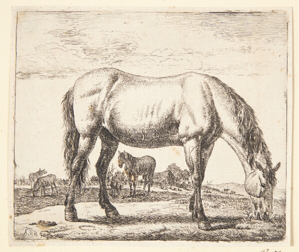 Adriaen van de Velde, Græssende hest