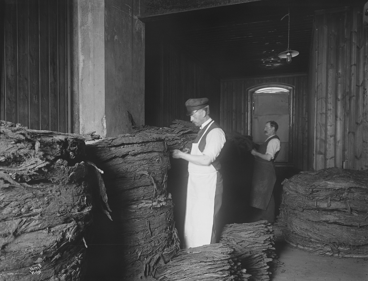 Anders Beer Wilse, Prot: Olsen Carl. E. Tobaksfabrik