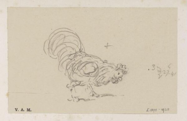 George Chinnery, A cockerel