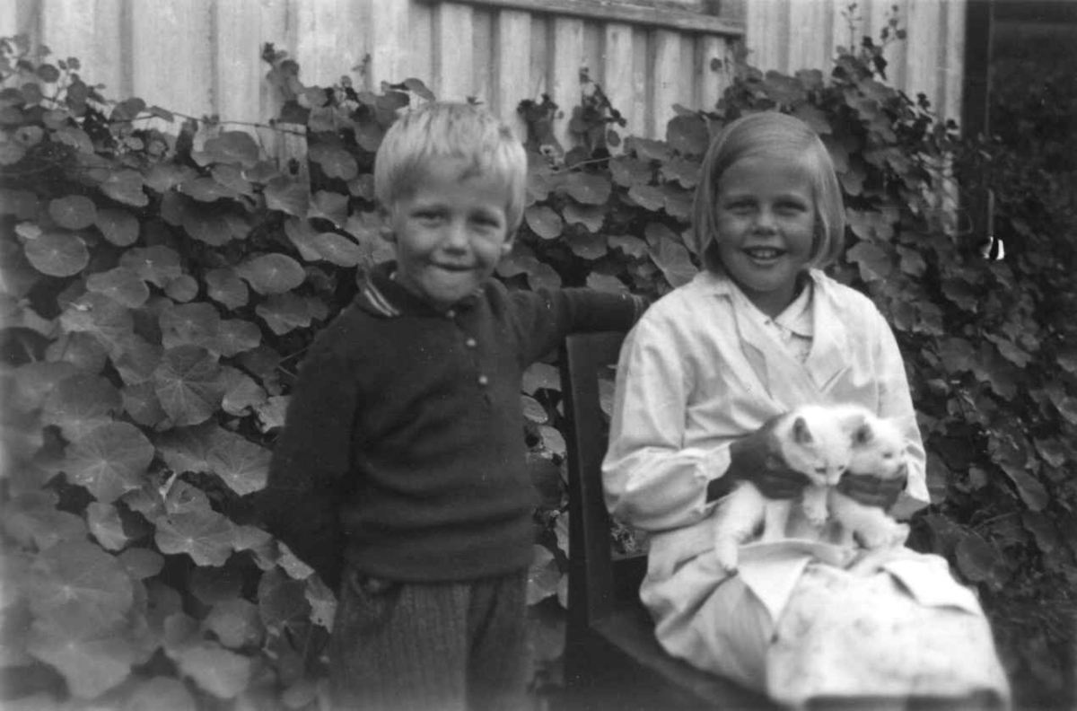 Anna Grostøl, Barna til Fru Olav Ramse. Jenta sitter på en stol med to kattunger på fanget. Tovdal 1936.