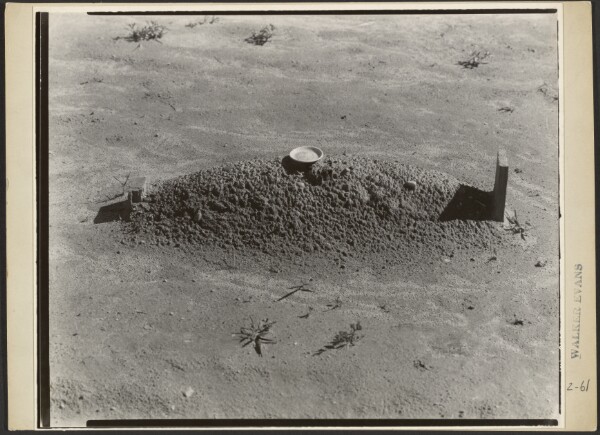 Walker Evans, A Child's Grave, Hale County, Alabama / A Baptist Grave, Hale County