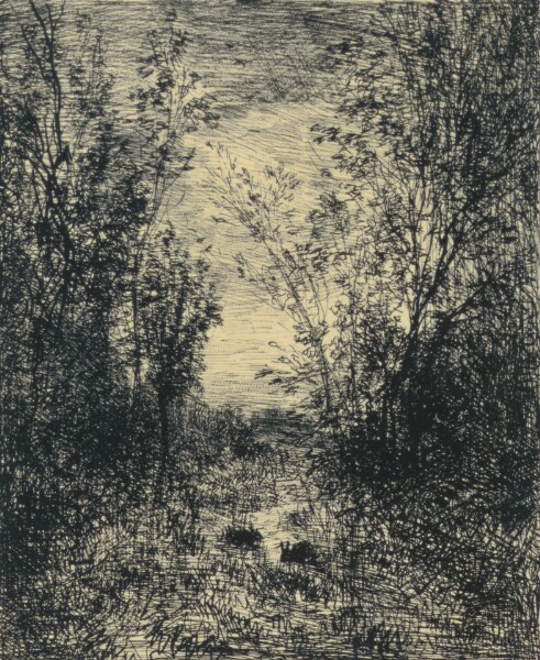 Charles-François Daubigny, Le Ruisseau Dans La Clairière