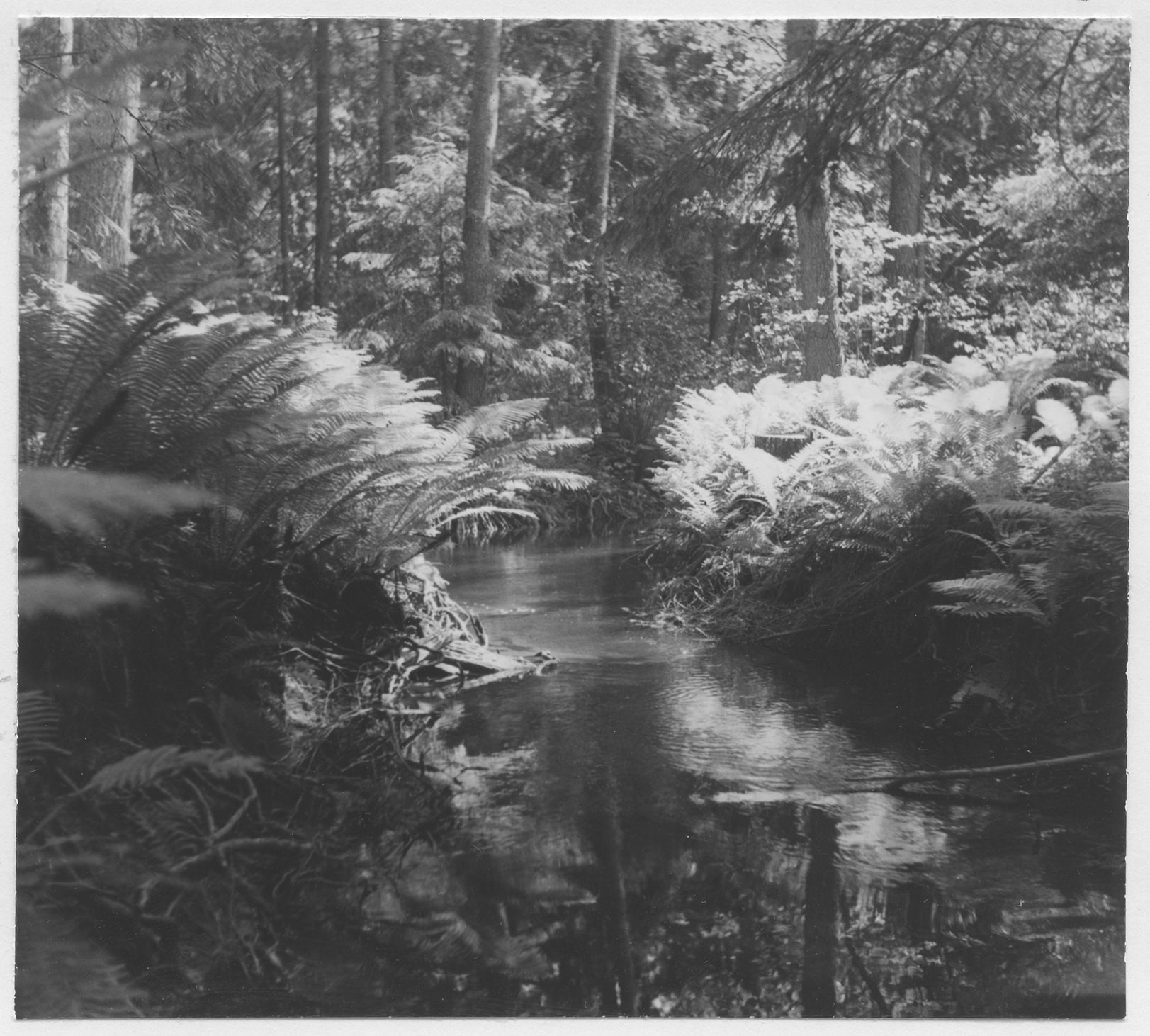Mårten Sjöbeck, Ånhammar