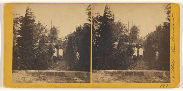 Carleton Watkins, [Lone Mountain Cemetery, San Francisco, California]