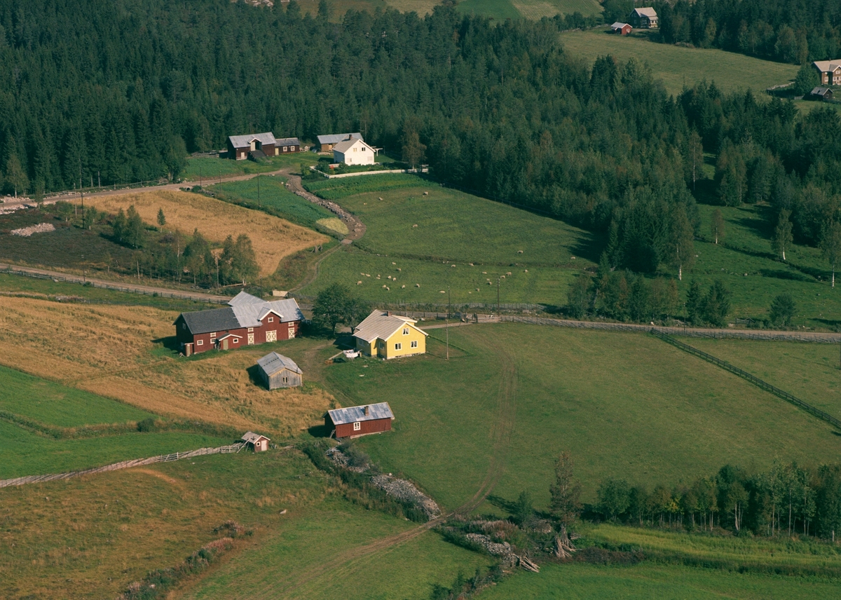 Widerøes Flyveselskap A/S, FLYFOTO RØED, RØD GARD